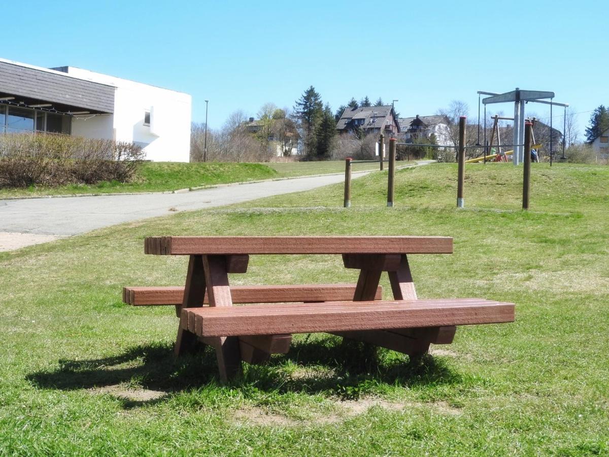 Appartement Zum Kuckuck Noch Mal Hohegeiß Εξωτερικό φωτογραφία